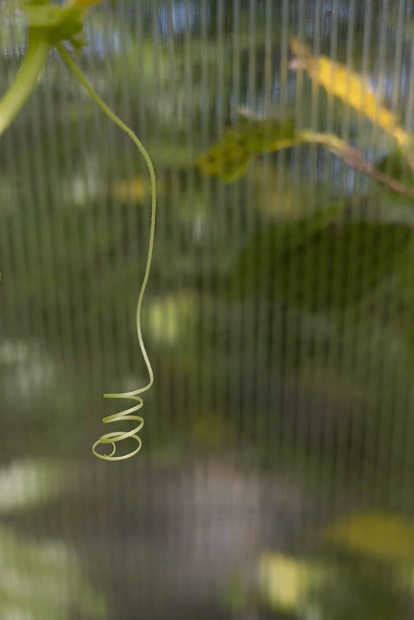 Quelles sont les méthodes efficaces pour enseigner les arts martiaux aux personnes vivant avec un handicap visuel?